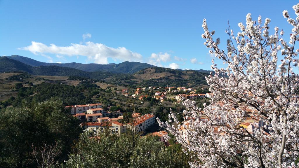 Chambres D'Hotes Et Gites Al Pati Sorede Luaran gambar