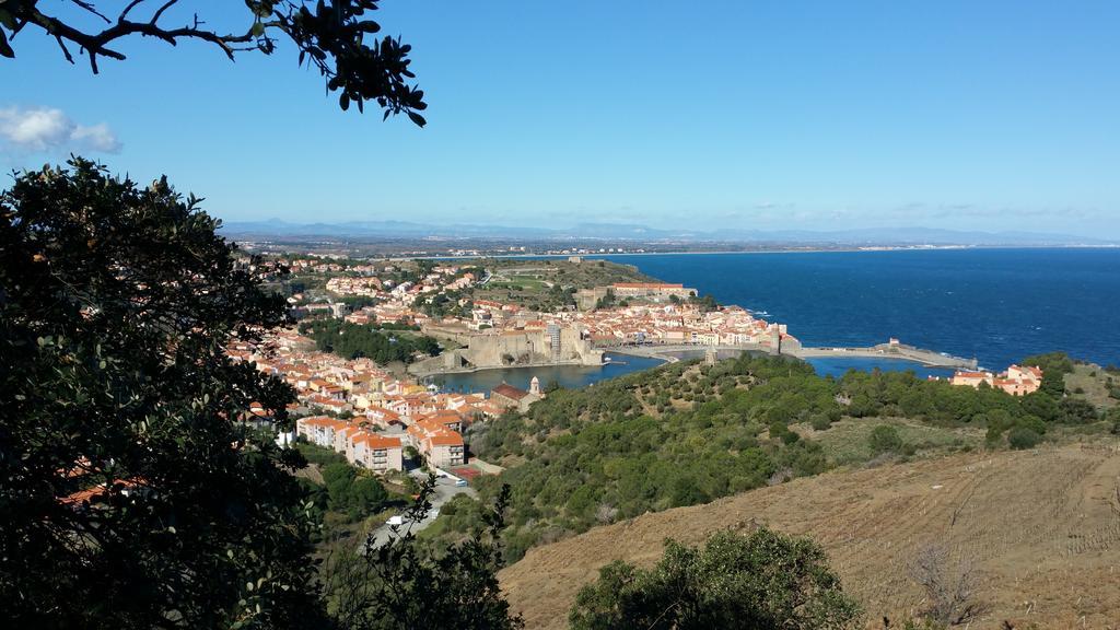 Chambres D'Hotes Et Gites Al Pati Sorede Luaran gambar